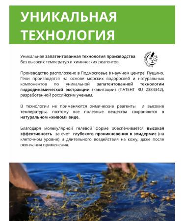 ALGENIC Therapy&Beauty Feet gel from varicose veins and edema Dr. Fucus Doctor Fucus - Buy Online on GoSupps.com