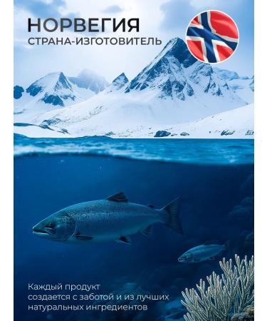 Norwegian Fish Oil NFO Omega-3 Fort 620 mg 60 capsules - Buy Online on GoSupps.com