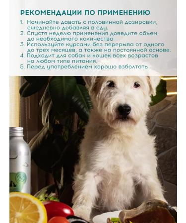 O2 Pets Salmon oil for dogs and cats Joint 250 ml. For joints - Buy Online on GoSupps.com