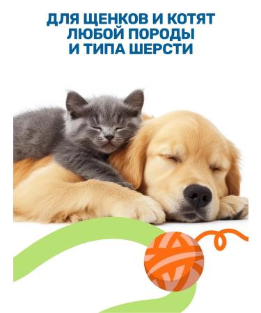 ZOORIK Hypoallergenic kittens and puppies shampoo 500 ml - Buy Online on GoSupps.com