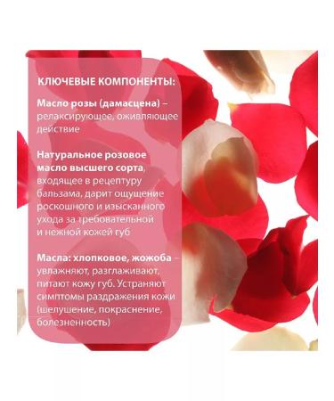 BELWEDER lip balm with pink oil 4 gr-1pcs - Buy Online on GoSupps.com