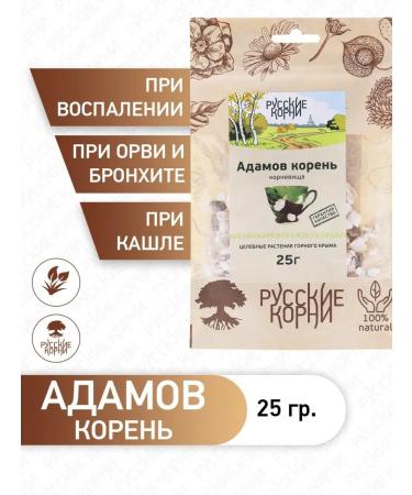 Russian roots Adam Korin (Tamus ordinary) from coughing for joints