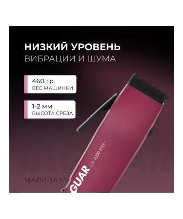 Jaguar CM 2000 Berry 10W car for hair cutting (85608) - Buy Online on GoSupps.com