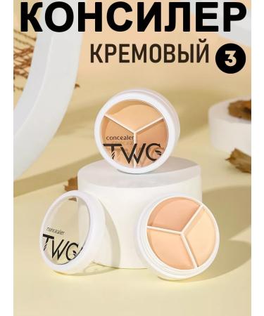 TWG Classler for face cream corrector palette 3 in 1