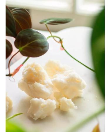 Mendeleev Shi oil. Refined. Moisturizing 150 ml - Buy Online on GoSupps.com