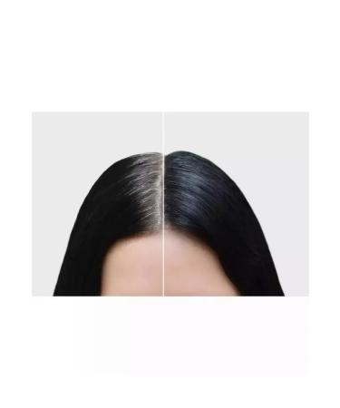 SStorkSS Staining hair shampoo black 1 pc 25 ml - Buy Online on GoSupps.com