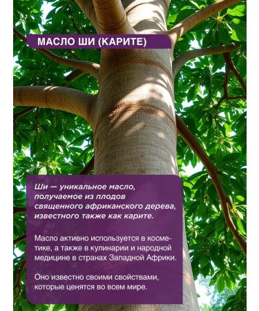 Chekasso Moisturizing oil shi butter 500 g healing - Buy Online on GoSupps.com