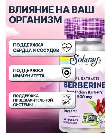 Solaray Berberine (Berberine) 500 mg 60 Veg. capsules - Buy Online on GoSupps.com