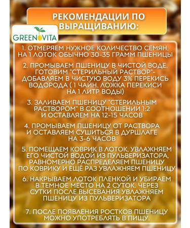 GREENOVITA Wheat for germination 1 kg - Buy Online on GoSupps.com