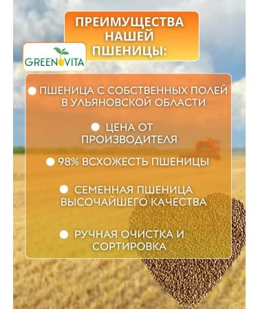 GREENOVITA Wheat for germination 1 kg - Buy Online on GoSupps.com