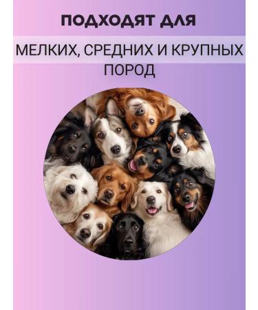 ASoli Beef goulash 75 gr - Buy Online on GoSupps.com