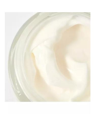Bielenda Diamond-Lipid Cream Conducte against wrinkles 60+ - Buy Online on GoSupps.com