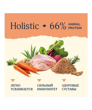 Advance Dry food for dogs turkey rice 3 kg 2 pcs - Buy Online on GoSupps.com