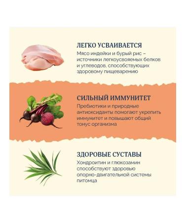 Advance Dry food for dogs turkey rice 3 kg 2 pcs - Buy Online on GoSupps.com