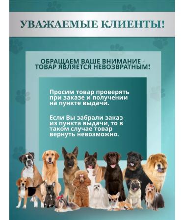 8 in 1 Beer yeast for dogs and cats 260 tablets - Buy Online on GoSupps.com