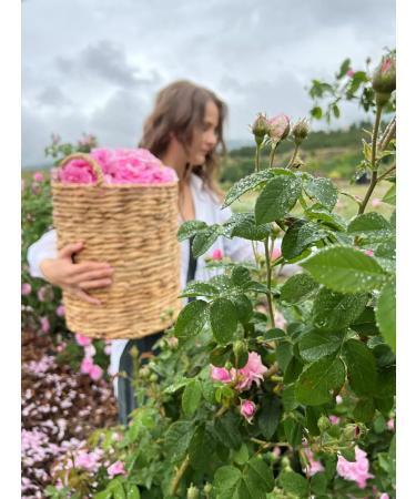 Lavender Land Rose hydrolate for the face - Buy Online on GoSupps.com