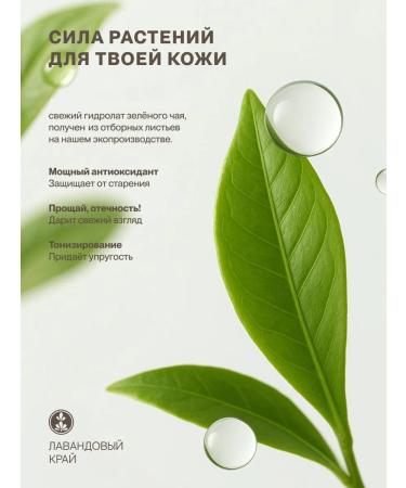 Lavender Land Hydrolat green tea - Buy Online on GoSupps.com