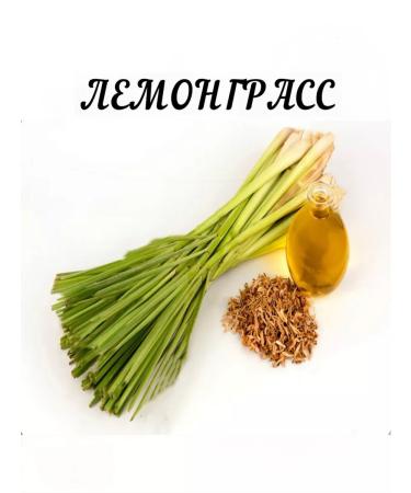 GRIGO Lemongrass for that pit - Buy Online on GoSupps.com