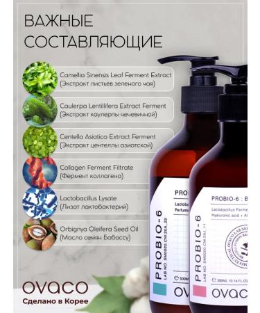 Ovaco Set for shower gel and body lotion - Buy Online on GoSupps.com