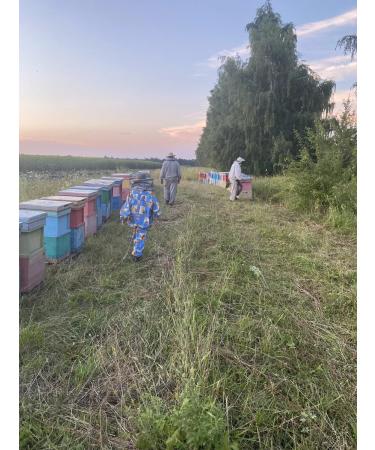 Honey yellow Donnik 1 kg 2025 g - Buy Online on GoSupps.com