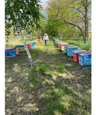 Honey yellow Donnik 1 kg 2025 g - Buy Online on GoSupps.com