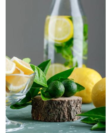 MILI FOOD Lemon concentrated juice "Greek Products" 4 liters - Buy Online on GoSupps.com