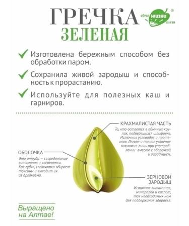 Altai lifestyle Green buckwheat Altai for cereals and germination 5 kg - Buy Online on GoSupps.com