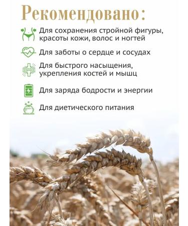 Altai lifestyle Rye -grain flour for proper nutrition 5 kg - Buy Online on GoSupps.com