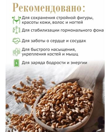 Altai lifestyle Flour half whole -grain Altai 5 kg - Buy Online on GoSupps.com