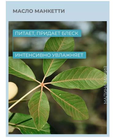 Alfaparf Milano SDL's curly shampoo 1000 ml - Buy Online on GoSupps.com