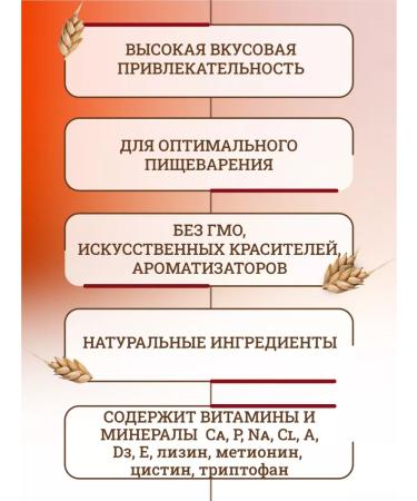 Miratorg Wet feed for dogs with beef 100 g x 16 pcs - Buy Online on GoSupps.com