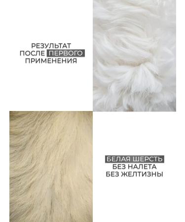 DOGIGO Shampoo for white dogs Professional from yellowness - Buy Online on GoSupps.com