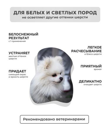 DOGIGO Shampoo for white dogs Professional from yellowness - Buy Online on GoSupps.com