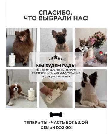 DOGIGO Shampoo for white dogs Professional from yellowness - Buy Online on GoSupps.com
