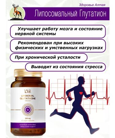 Liposomal Vitamins Liposomal Glutation Liposomal Glutathione 200 mg - Buy Online on GoSupps.com