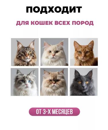 SPETS Long -haired cats shampoo hypoallergenic 250 ml - Buy Online on GoSupps.com