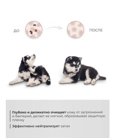 DOGIGO Antiparasitic shampoo for dogs from fleas and ticks - Buy Online on GoSupps.com