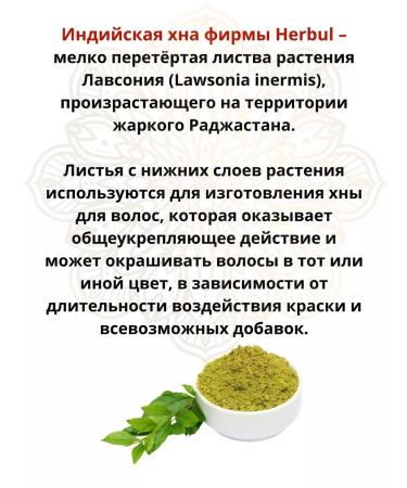 Herbul Hnna Indian black Black Henna 3x60g - Buy Online on GoSupps.com