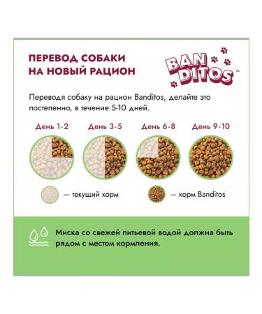 Banditos Dry food for dogs with chicken 12 kg - Buy Online on GoSupps.com