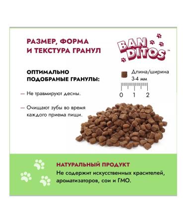 Banditos Dry food for cats with chicken 1.5 kg - Buy Online on GoSupps.com