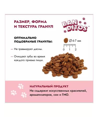 Banditos Dry food for cats with a turkey 1.5 kg - Buy Online on GoSupps.com