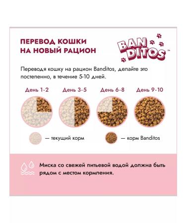 Banditos Dry food for cats with a turkey 1.5 kg - Buy Online on GoSupps.com