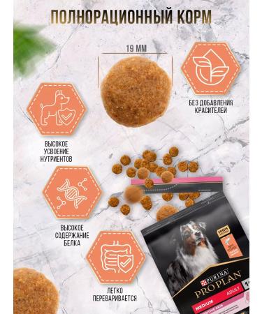 PRO PLAN Dry food for dogs Medium Adult with salmon 14 kg - Buy Online on GoSupps.com