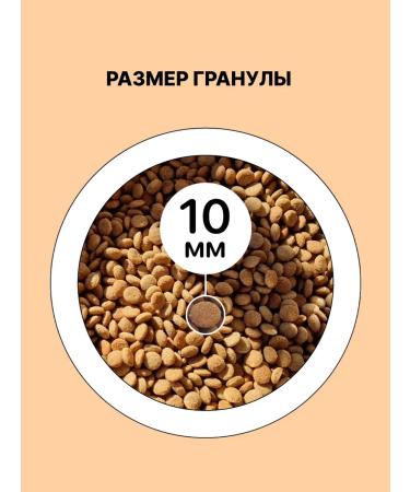 Lapico Simple Dry Dog Food for Small Breeds Turkey 8 kg - Buy Online on GoSupps.com