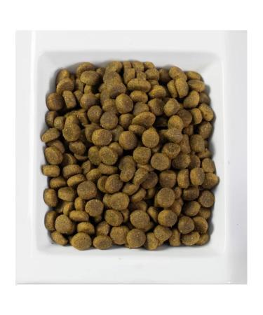 LiveRa Adult dogs dry adult 15 kg - Buy Online on GoSupps.com