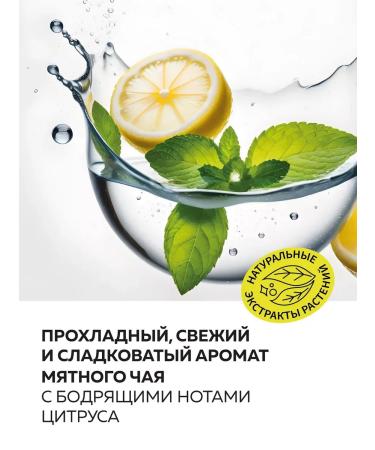 Green Mama Deodorant for the legs from sweat and smell Mint Tea 100 ml - Buy Online on GoSupps.com