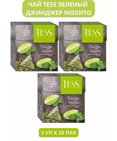 TESS Green Ginger Ginger Mohito 3 UD. 20 packs