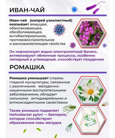 Dinel Herbal tea Altai gastrointestinal intestinal collection in bags - Buy Online on GoSupps.com