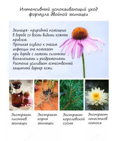 THE SAEM Emulsion for oily problem skin - Buy Online on GoSupps.com