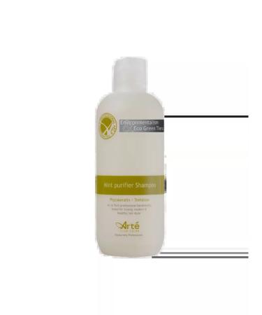 ILJIN Cosmetics Arte shampoo mint 280 ml - Buy Online on GoSupps.com